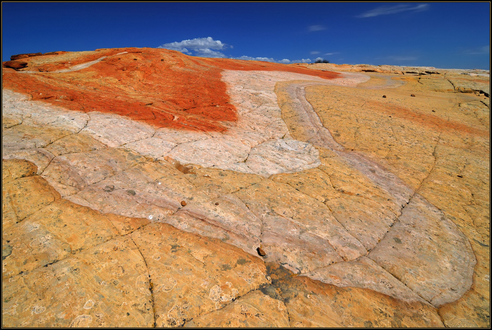 Yellow Rock        -Tongue-