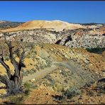 Yellow Rock View