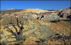 Yellow Rock View