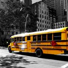 Yellow Schoolbus