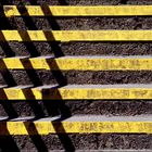 Yellow stripes