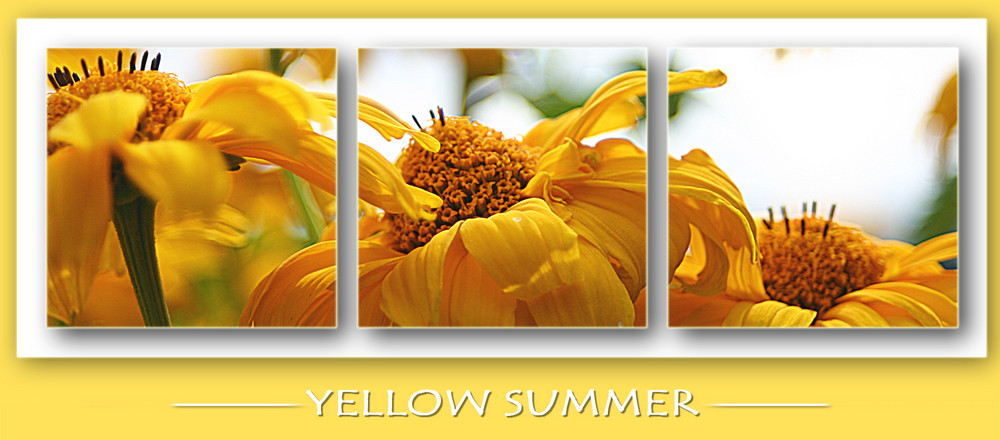 yellow summer