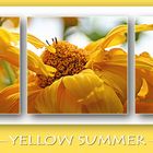 yellow summer