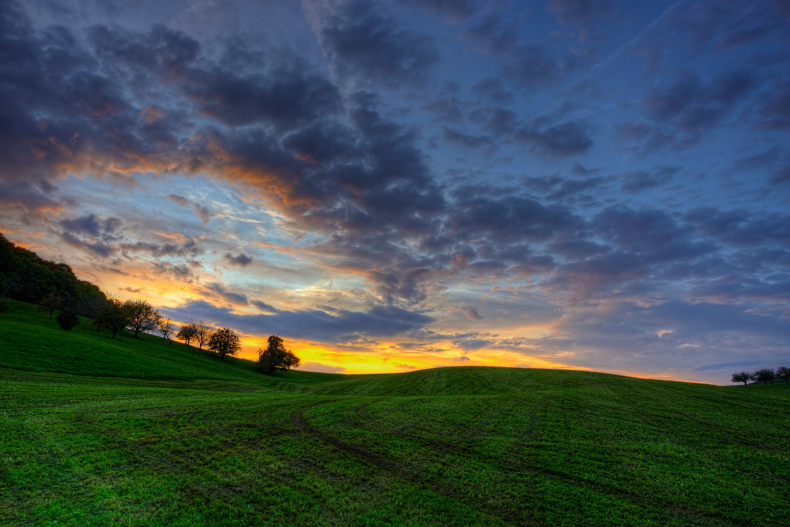 Yellow Sunset