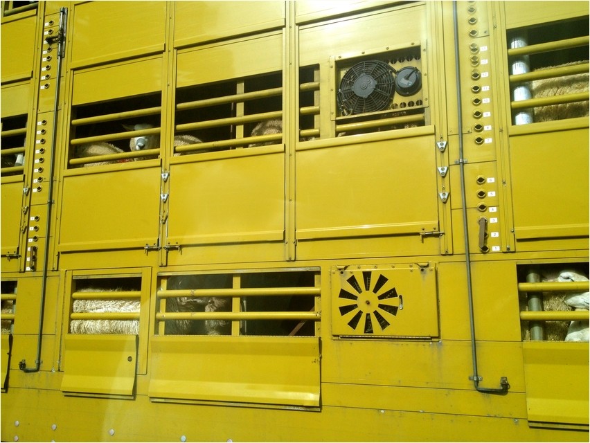 yellow truck 2