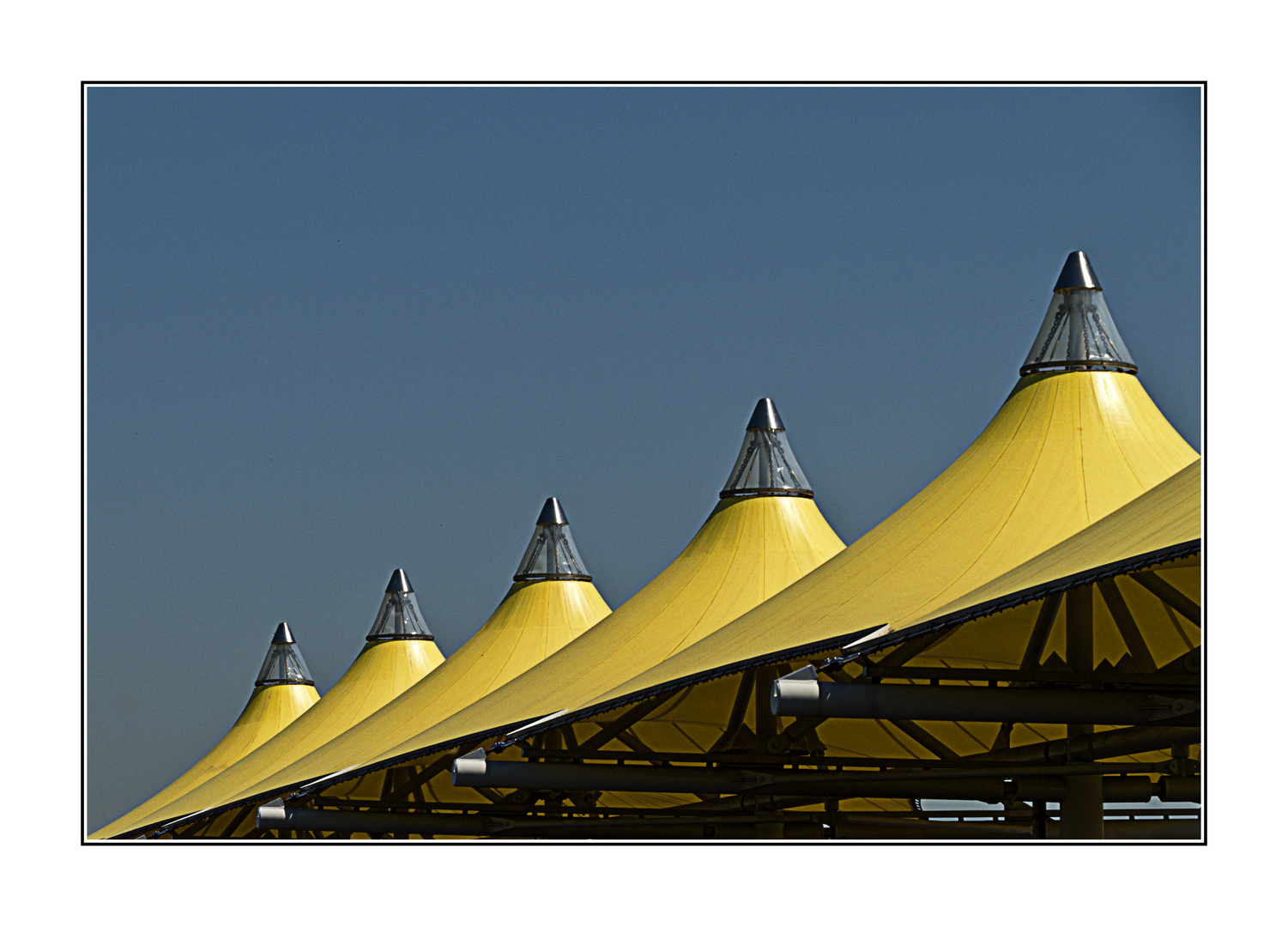 yellow umbrellas