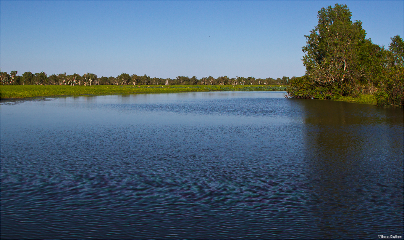 Yellow Water Billabong