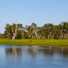 Yellow Water Billabong