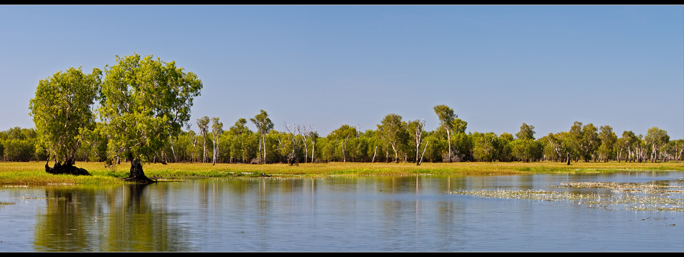 Yellow Water Billabong