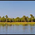 Yellow Water Billabong