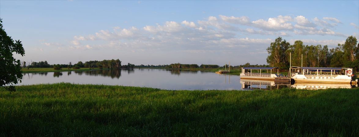 Yellow Water Cruises