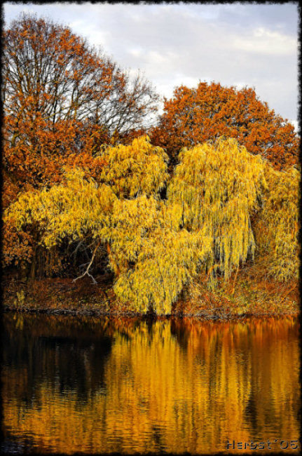 yellow waterfall