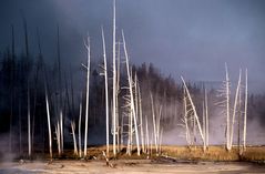 Yellowstone 02