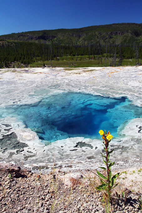 Yellowstone 1