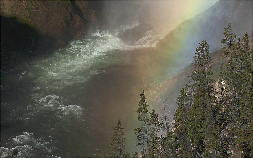 Yellowstone 1