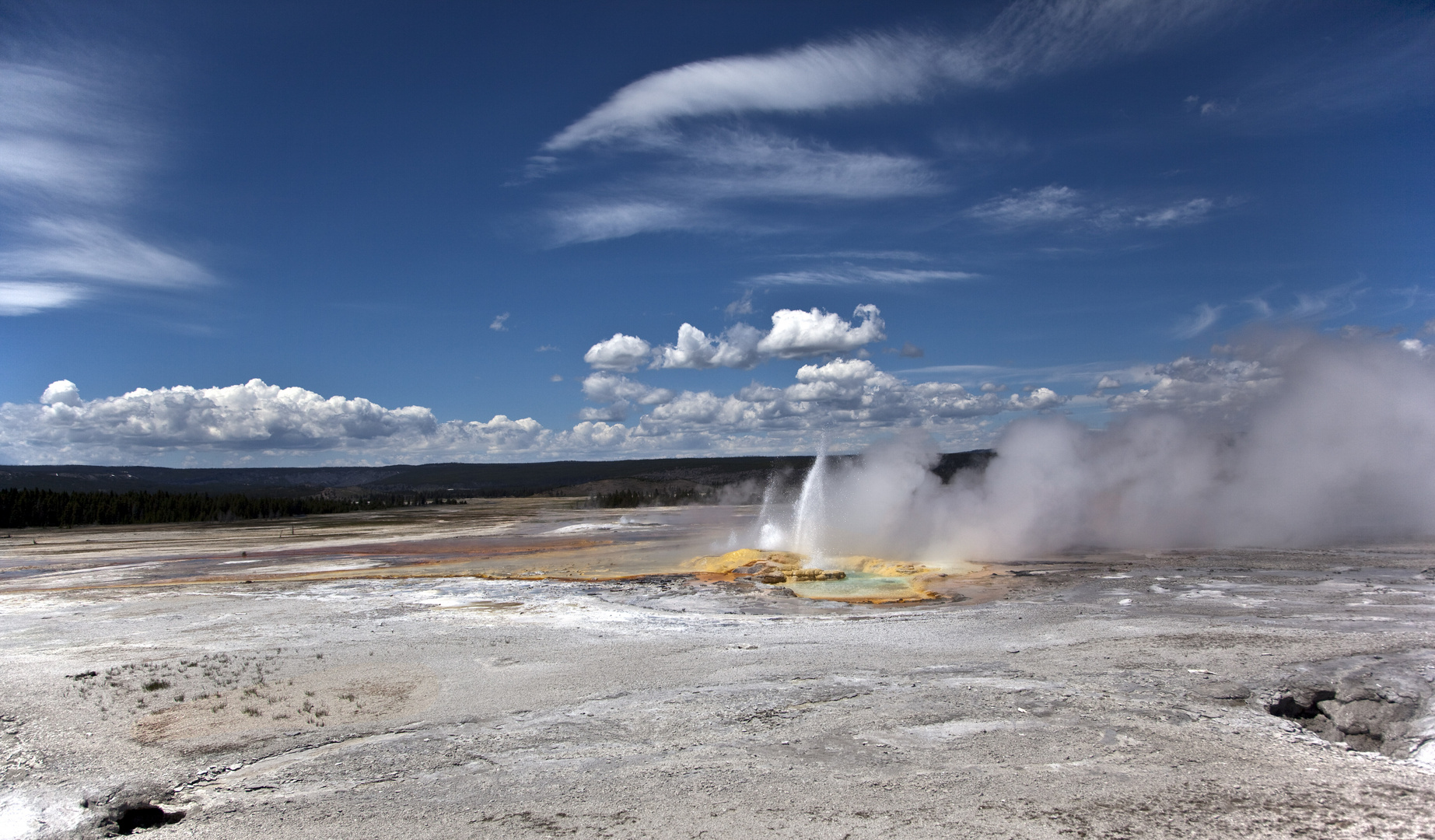 Yellowstone 11