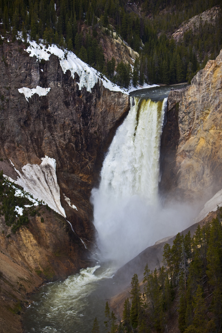 Yellowstone 15