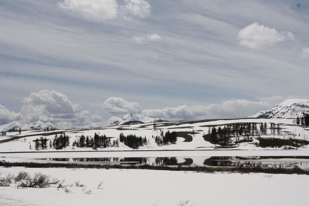 yellowstone