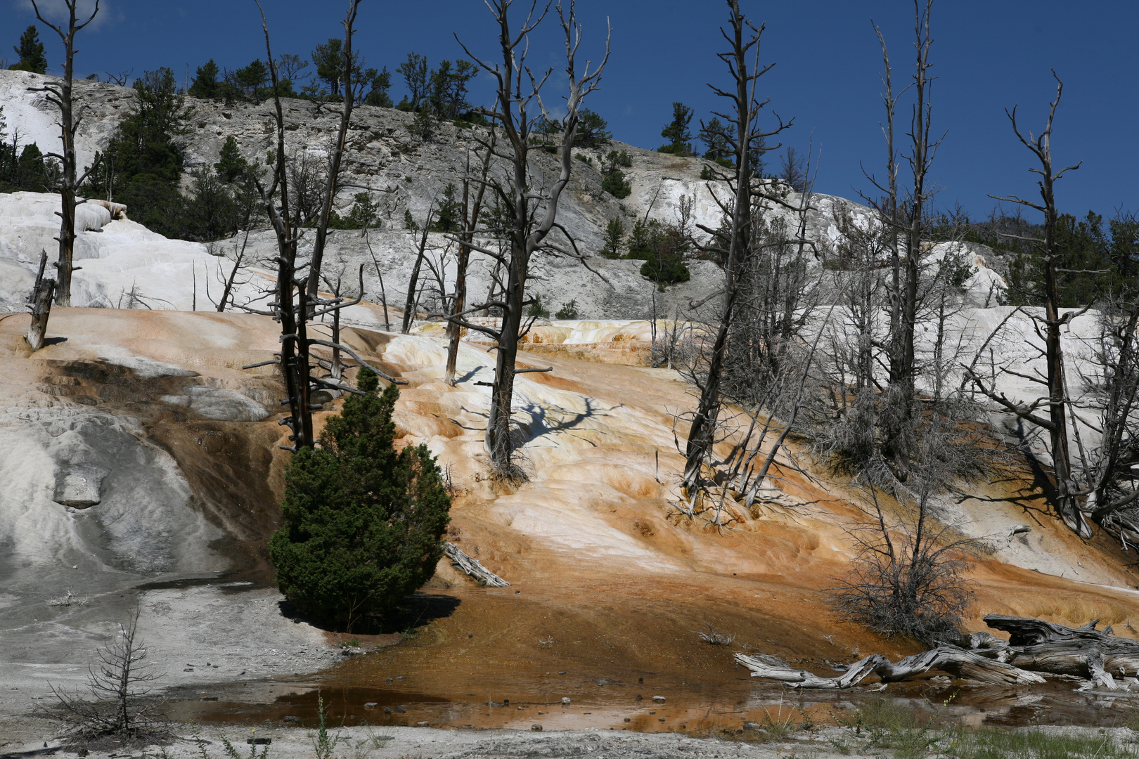 Yellowstone 2