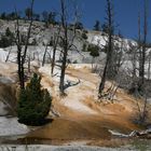 Yellowstone 2