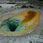 Yellowstone 2