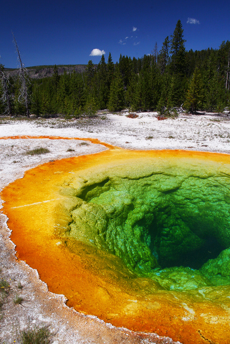 Yellowstone 2