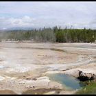 Yellowstone 2004
