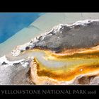 YELLOWSTONE 2008 #2