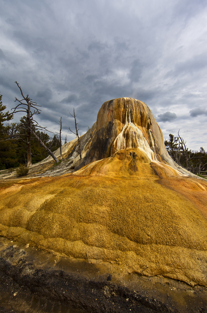 Yellowstone 2011/ 2