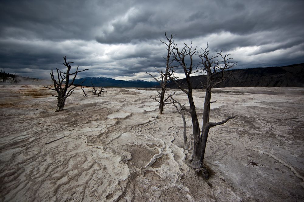 Yellowstone 2011