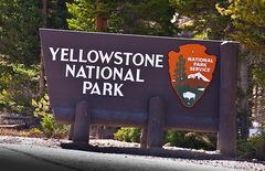 Yellowstone 2011