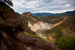 Yellowstone 2011/10