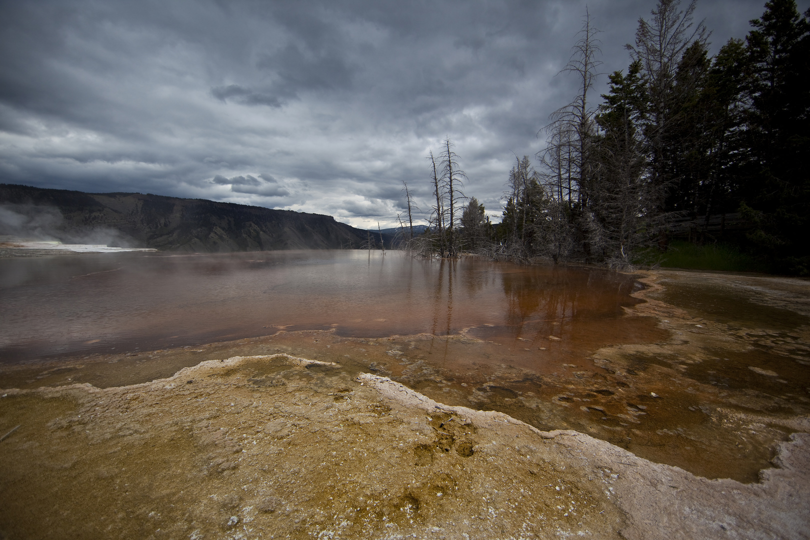 Yellowstone 2011/7