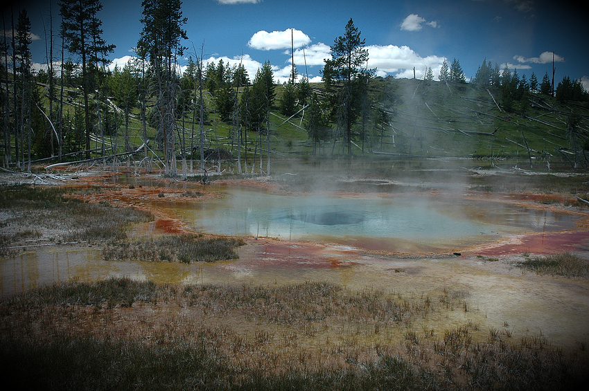 Yellowstone 3