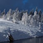 Yellowstone -30 Grad