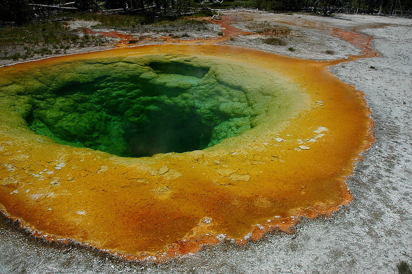 Yellowstone 4