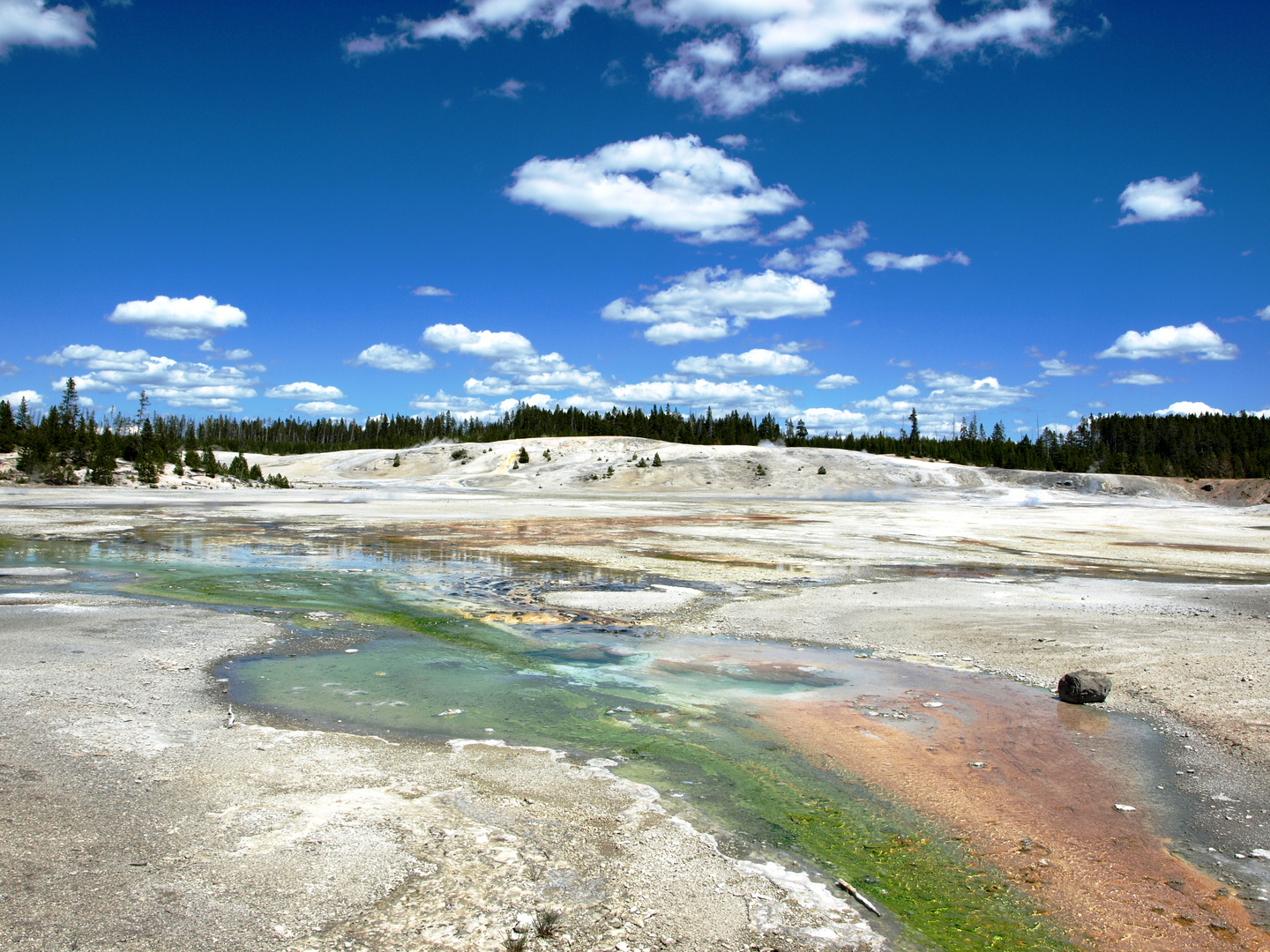 Yellowstone 4