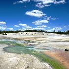 Yellowstone 4