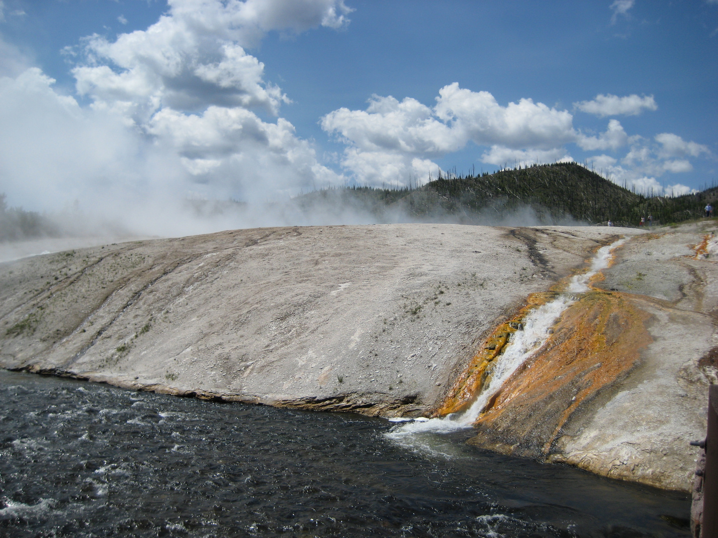 Yellowstone #4