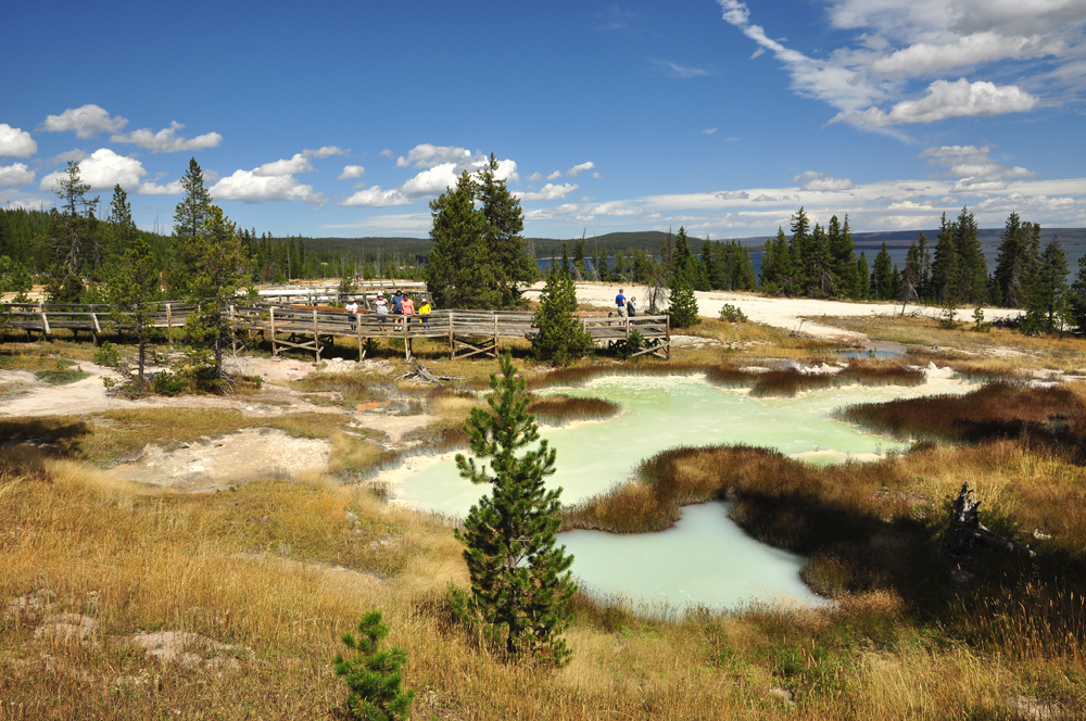 Yellowstone