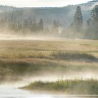 Yellowstone