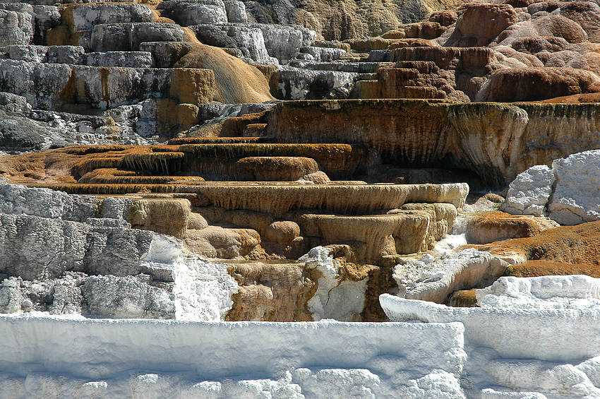 Yellowstone 5