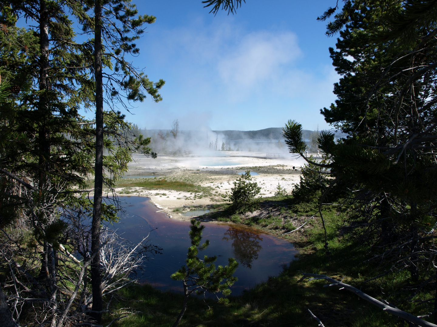 Yellowstone 5