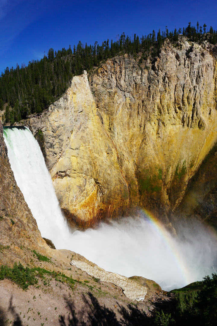 Yellowstone