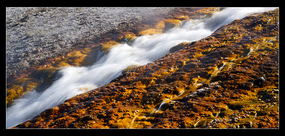 // Yellowstone //