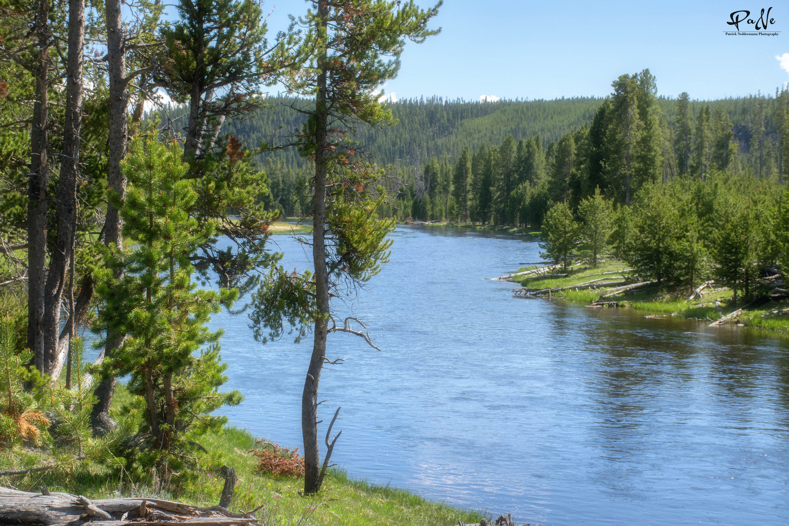 Yellowstone