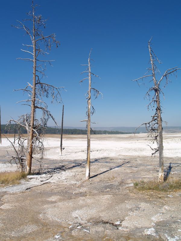 Yellowstone