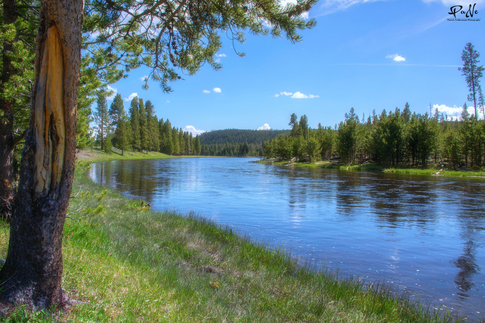 Yellowstone