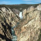 Yellowstone 8