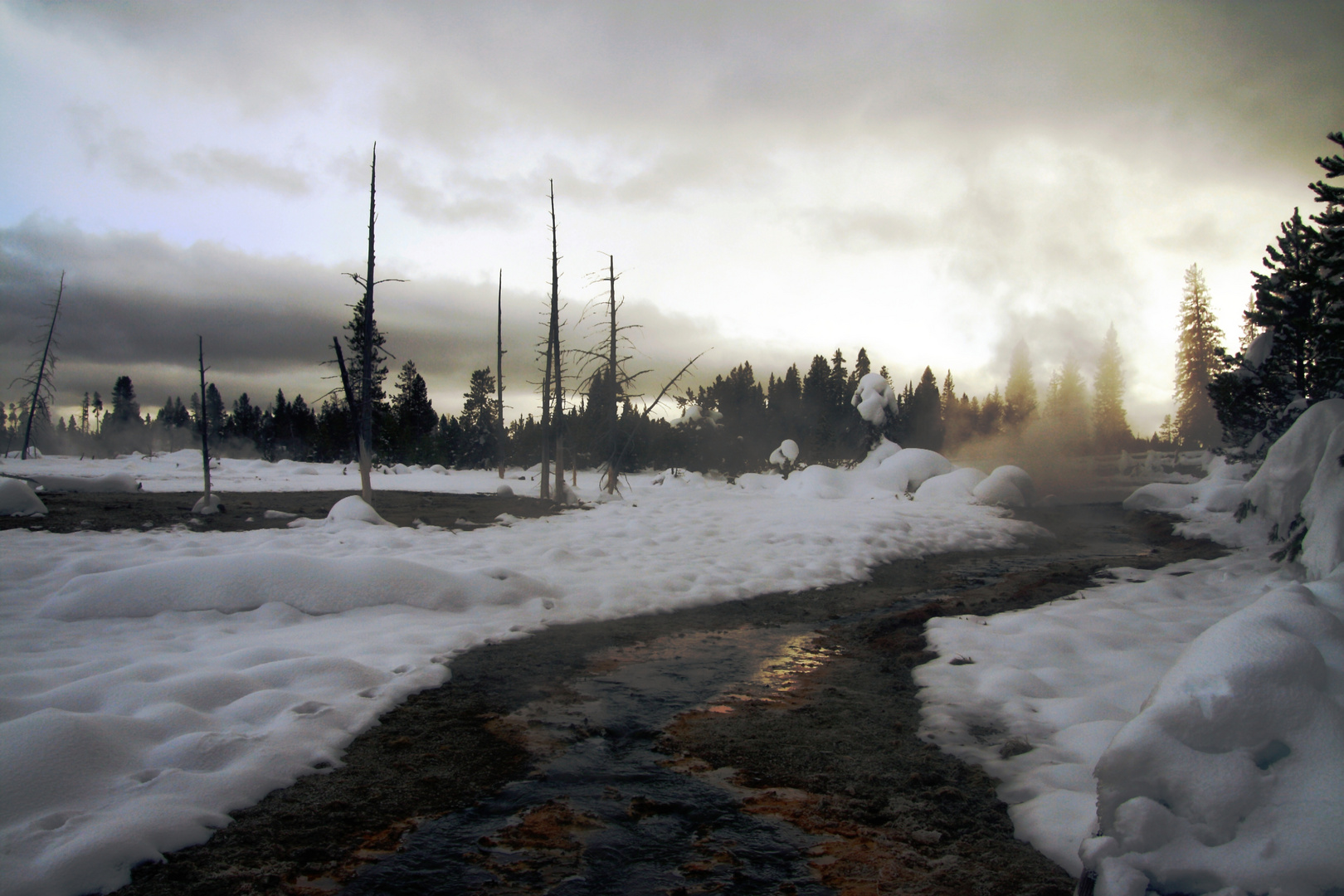 Yellowstone